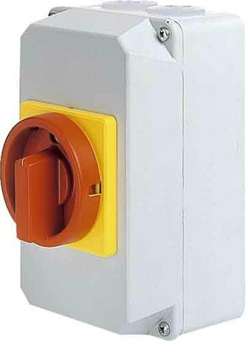 Elektra Tailfingen Haupt-Not-Ausschalter D1 01/HS-G32/2-D-MRG