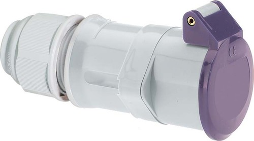 Bals Elektrotech. Kleinspannungs-Kupplung 32A 3p 24V 4539