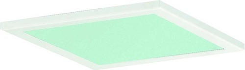 Ridi-Leuchten Dekorglasscheibe DQ150-SM-G-D-W