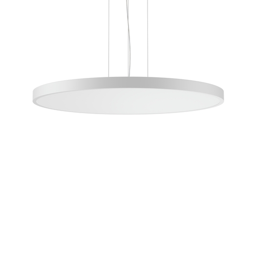 RZB LED-Pendelleuchte 4000K, DALI 312393.002.1.76
