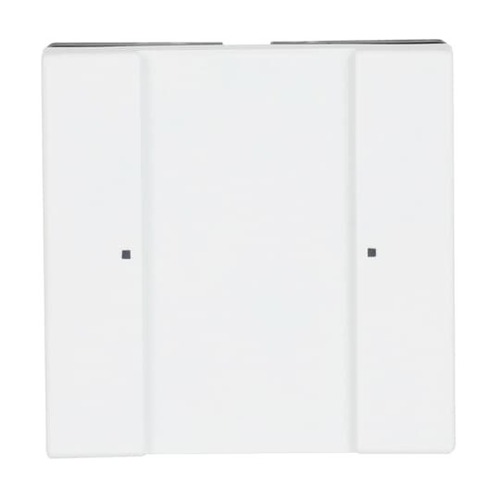 Busch-Jaeger Tastsensor 1/2fach Multifunktion 6125/02-884 Busch-Jaeger Tastsensor 1/2fach Multifunktion 6125/02-884