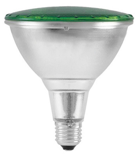 Scharnberger+Hasenbein LED-Reflektorlampe PAR38 E27 grün 31182