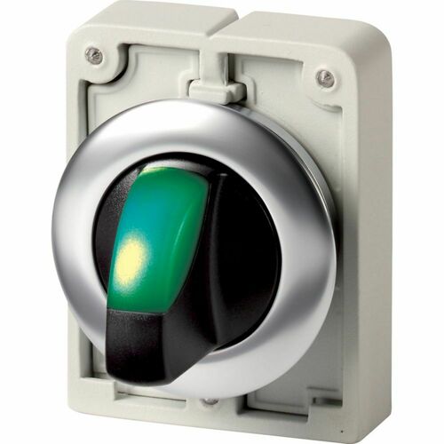 Eaton Leuchtwahltaste RMQ-Titan rastend Knebelgriff M30I-FWLKV-G