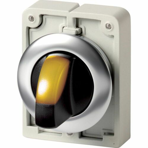 Eaton Leuchtwahltaste RMQ-Titan rastend Knebelgriff M30I-FWLKV-Y