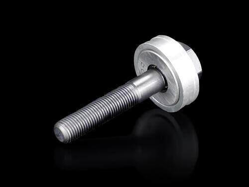 Rittal Zugschraube mit Kugellager 9,5mm, L=50mm AS 4055.631