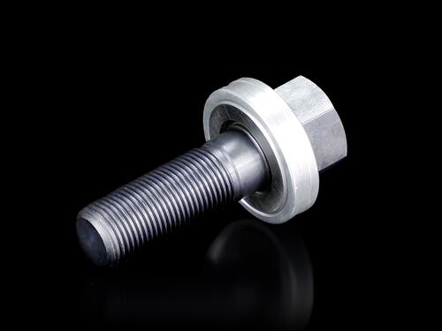 Rittal Zugschraube mit Kugellager 19mm, L=55mm AS 4055.633