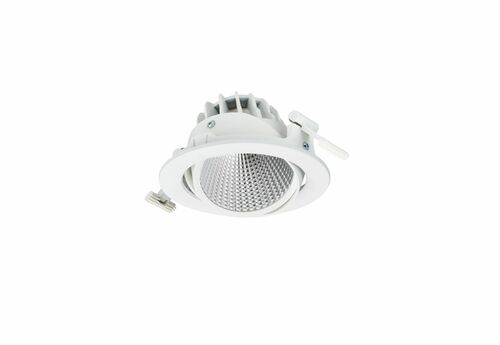 Philips Lighting 3D-LED-Leuchte rose RS353B 27S #58814100