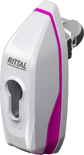 Rittal Mini-Komfortgriff AX Profilhalbzylinder AX 2537.100