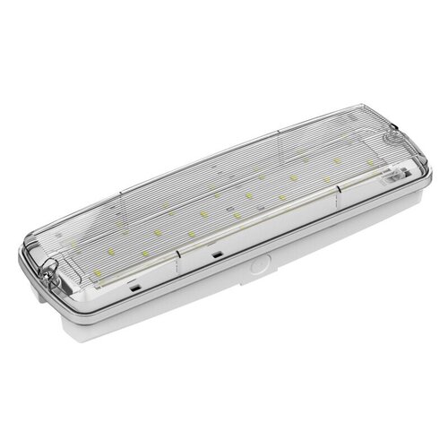 Dotlux LED-Rettungsleuchte 3h/8h 5389-1 Dotlux LED-Rettungsleuchte 3h/8h 5389-1