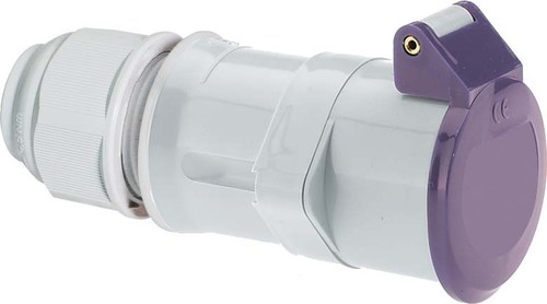 Bals Elektrotech. Kleinspannungs-Kupplung 32A 2p 24V 4533