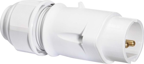 Bals Elektrotech. Kleinspannungs-Stecker 16A 2p 42V 12h IP44 4423