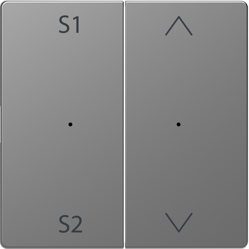 Merten Wippe f. Tastermodul 2-fach Szene1/2 Auf/Ab edelstahl MEG5227-6036