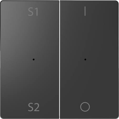 Merten Wippe f. Tastermodul 2-fach Szene1/2 1/0 anthrazit MEG5228-6034 Merten Wippe f. Tastermodul 2-fach Szene1/2 1/0 anthrazit MEG5228-6034