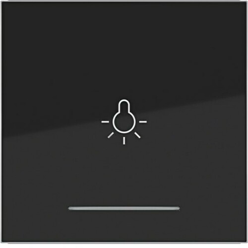 Hager WI 1-fach Aufdr. Licht Ax/Cx nachtschwarz gl WAW1032BG