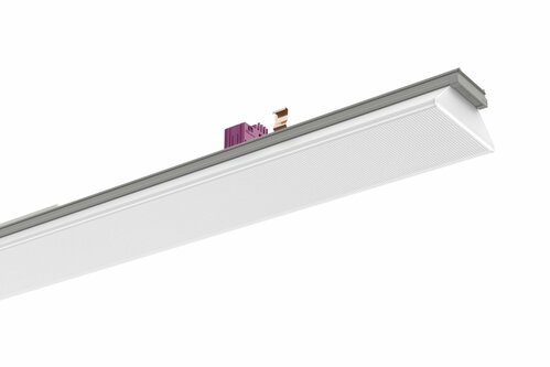 Ridi-Leuchten LED-Geräteträger 7-pol. 830, DALI2 VL2S-GMS150-7DASI830MP0650