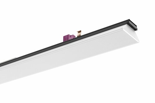 Ridi-Leuchten LED-Geräteträger 7-pol. 850, DALI2, schwarz VL2S-GMS150-7DASW850MP0650