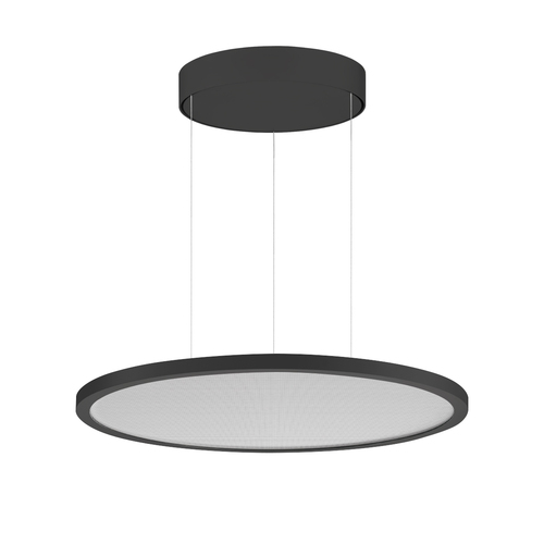 Performance in Light LED-Pendelleuchte 2700-6500K, DALI, schwarz 3124827 Performance in Light LED-Pendelleuchte 2700-6500K, DALI, schwarz 3124827