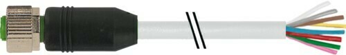 Murrelektronik M12 Bu. 0° A-kod. freies Ltg-ende PVC 8x0.25 7000-17041-2071000 Murrelektronik M12 Bu. 0° A-kod. freies Ltg-ende PVC 8x0.25 7000-17041-2071000