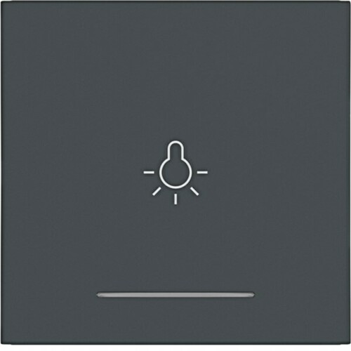 Hager WI 1-fach Aufdr. Licht Ax/Cx ant mt lackiert WAW1032AT