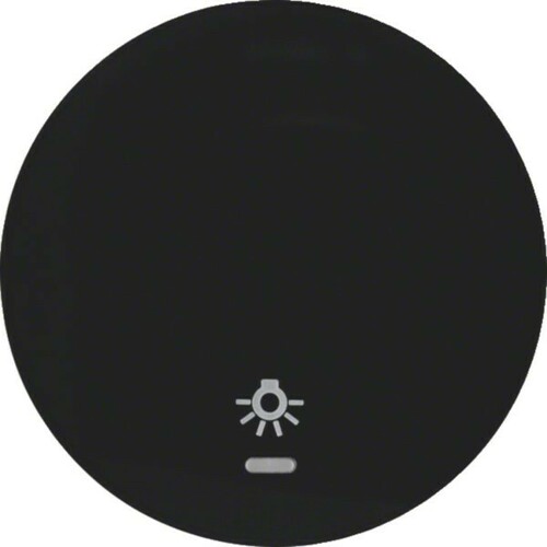 Hager Wippe schwarz, glänzend WLW1332BG Hager Wippe schwarz, glänzend WLW1332BG