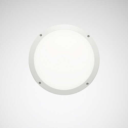 Trilux LED-Wand-/Deckenleuchte Skeo Circ M #7578040 Trilux LED-Wand-/Deckenleuchte Skeo Circ M #7578040