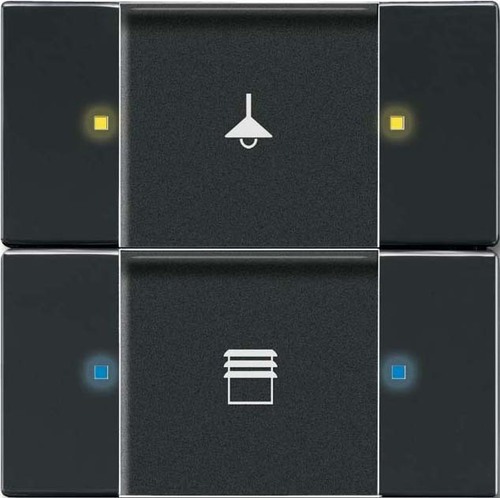 Busch-Jaeger Bedienelement 2/4-fach anthrazit 6126/02-81-500 Busch-Jaeger Bedienelement 2/4-fach anthrazit 6126/02-81-500