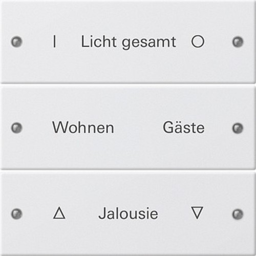 Gira Wippenset 3-fach beschr. Sys 55 reinweiß 220327