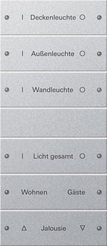 Gira Wippenset 6-fach beschr. Sys 55 F Alu 220626