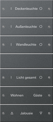 Gira Wippenset 6-fach beschr. Sys 55 Anthr 220628