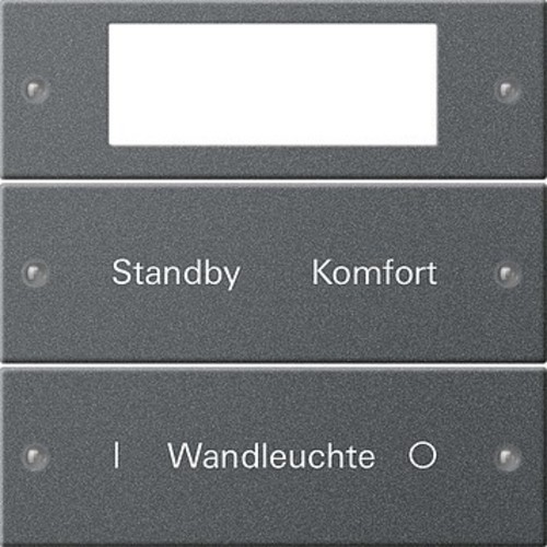 Gira Wippenset 2-fach beschr. Sys 55 Anthr 221228