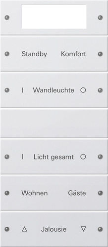 Gira Wippenset 5-fach beschr. Sys 55 reinweiß 221503