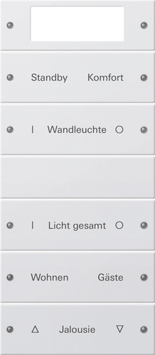 Gira Wippenset 5-fach beschr. Sys 55 reinweiß 221527