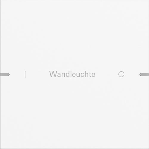 Gira Wippenset 1-fach Tastsens TS4 reinweiß 5031927 Gira Wippenset 1-fach Tastsens TS4 reinweiß 5031927