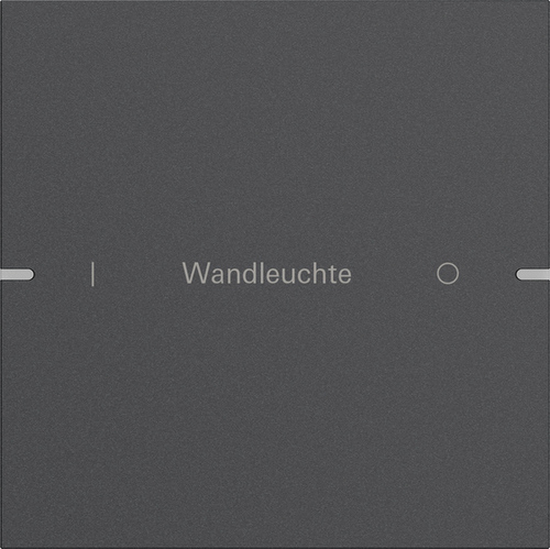 Gira Wippenset 1-fach Tastsens TS4 Anthr 5031928 Gira Wippenset 1-fach Tastsens TS4 Anthr 5031928