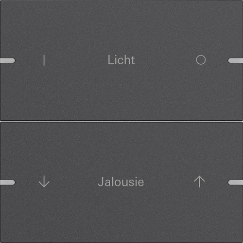 Gira Wippenset 2-fach Tastsens.4 TS4 Anthr 5032928 Gira Wippenset 2-fach Tastsens.4 TS4 Anthr 5032928