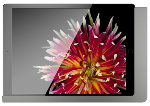 Viveroo iPad Wandhalterung Lack: DarkSteel 510171PD