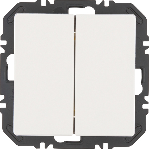Berker Modul m. Wippe 2-fach Q.x pw. samt 24126189