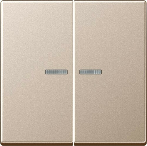 Jung KNX RF Taster 2-fach ch Duroplast lackiert A 10921 ST RF CH