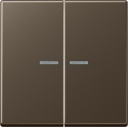 Jung KNX RF Taster 2-fach ch Duroplast lackiert A 10921 ST RF MO
