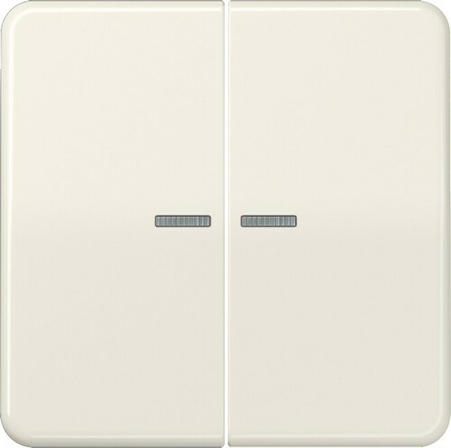 Jung KNX RF Taster 2-fach ch Duroplast, Serie CD CD 10921 ST RF