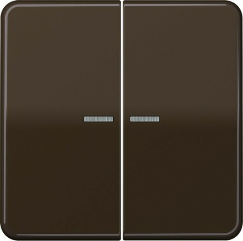 Jung KNX RF Taster 2-fach ch Duroplast, Serie CD CD 10921 ST RF BR