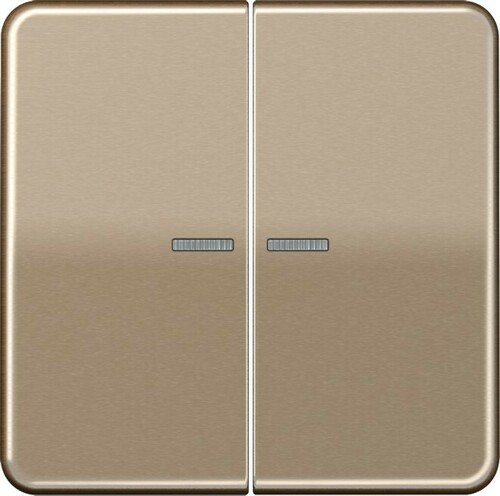 Jung KNX RF Taster 2-fach ch Aluminium eloxiert CD 10921 ST RF GB