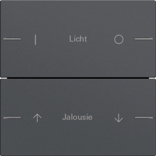 Gira Wippenset 2-fach indiv. Tastsensor Anthrazit 576228
