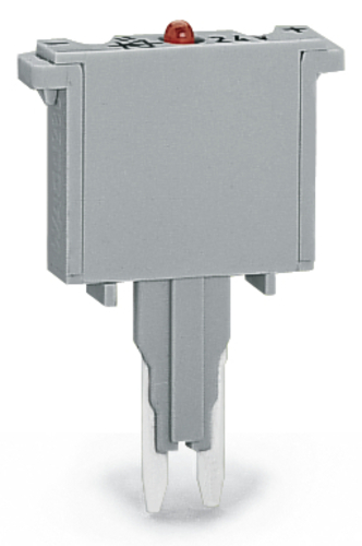 WAGO GmbH & Co. KG Sicherungsstecker Leuchtanzeige,grau 280-854/281-414