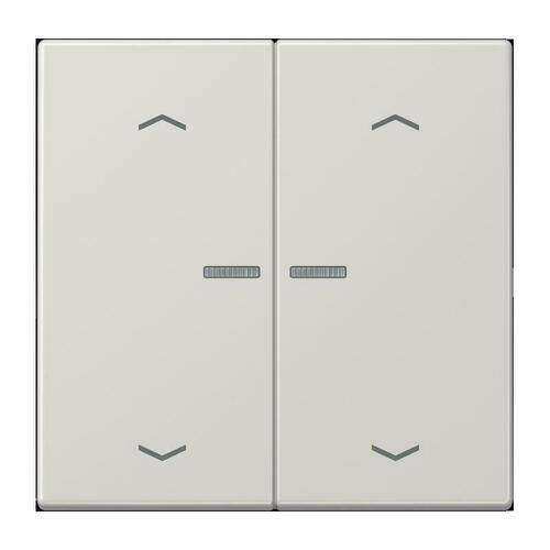 Jung Taster 2-fach ch JUNG HOME BT LS 17102 P LG