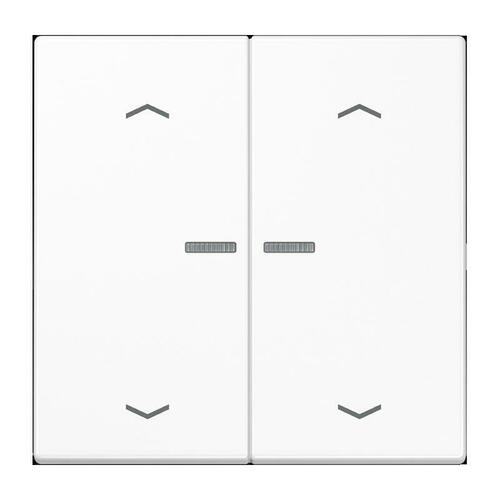 Jung Taster 2-fach ch JUNG HOME BT LS 17102 P WW