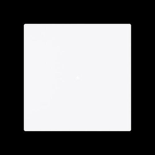 Busch-Jaeger Wippe, 1-fach neutral ohne Bedruckung 6230-10-44G