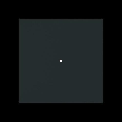 Busch-Jaeger Wippe, 1-fach neutral ohne Bedruckung 6230-10-45M