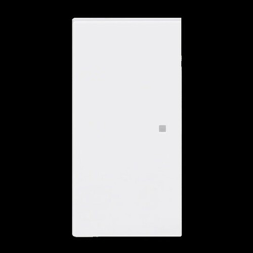 Busch-Jaeger Wippe, 2-fach neutral ohne Bedruckung 6230-20-44G