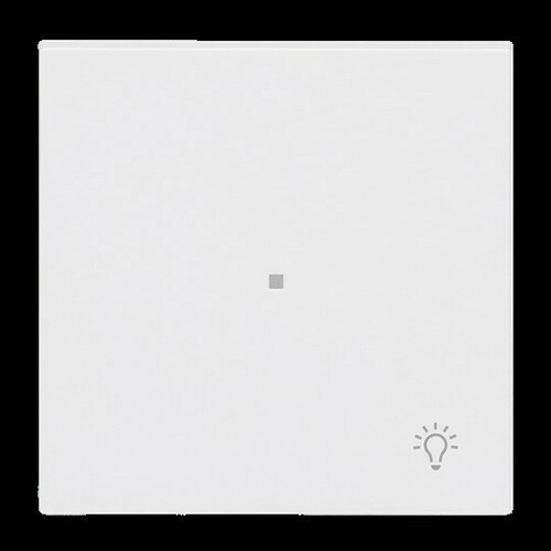 Busch-Jaeger Wippe 1-fach mit Symbol Licht 6231-10-44M